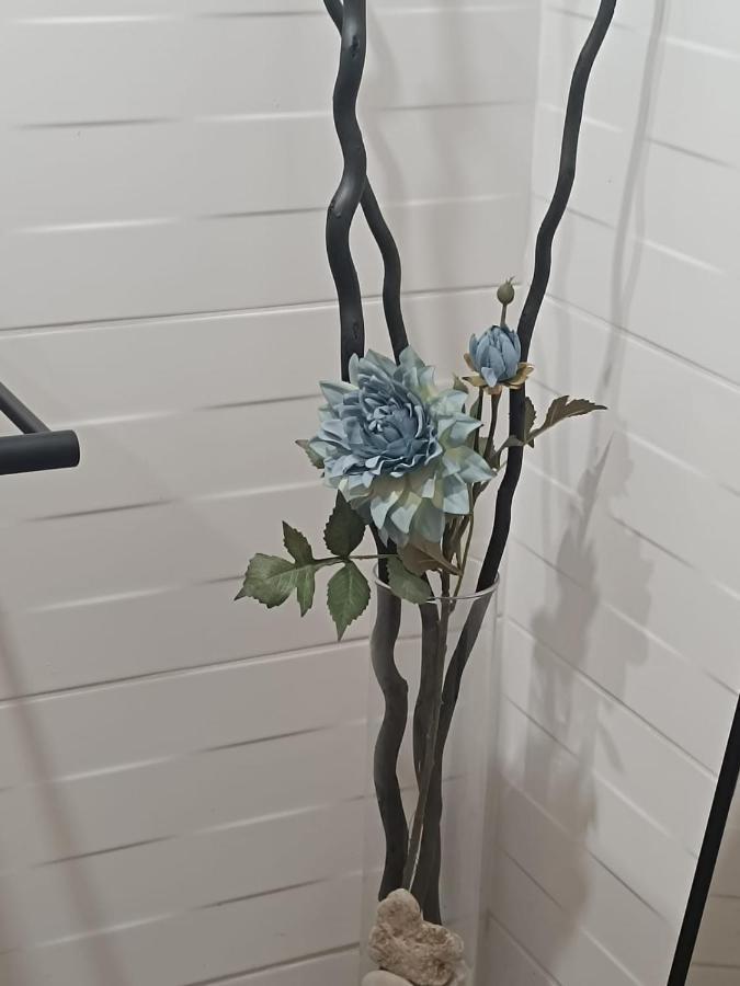 Apartament Anfiteatre Roma Tarragona Esterno foto